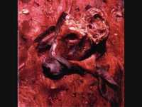 pochette album Cream of the crop