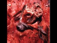 pochette album Gestation of smegma