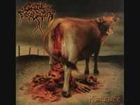 pochette album Lips and assholes