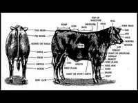 pochette album Ride 'em cowboy