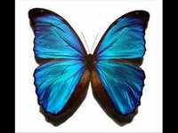 pochette album Favorite patient