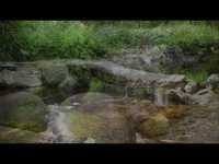 pochette album Ma zat