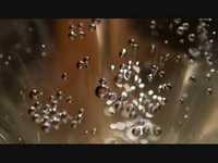 pochette album Champain