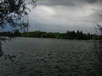 pochette album From the plains