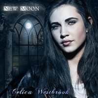 pochette album New moon