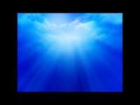 pochette album Cry just a little