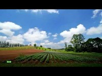 pochette album From this moment on