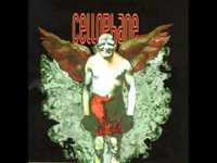 pochette album Dress the day