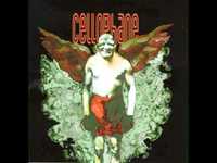 pochette album Tamarak tree