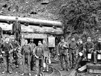 pochette album Working man