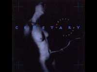 pochette album Now she walks the shadows