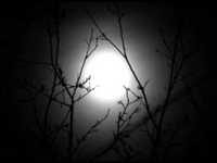 pochette album Colder than ever