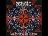 pochette album Summon the golden twilight