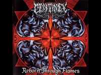 pochette album The beauty of malice