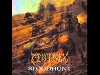 pochette album Under the pagan glory