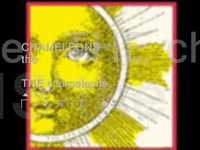 pochette album One flesh