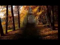 pochette album Cat's worst grave