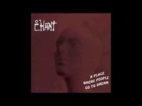 pochette album Codeine