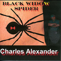 pochette album Black widow spider