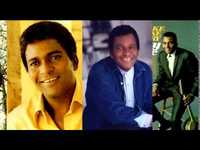 pochette album I threw away the rose