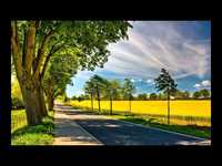 pochette album Too hard to say i'm sorry