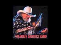 pochette album The fiddle player's got the blues