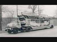 pochette album What are those things (with big black wings)