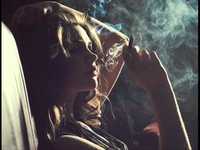 pochette album Le chat du cafe des artistes