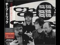 pochette album Wrong all along