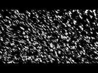 pochette album K+d+b