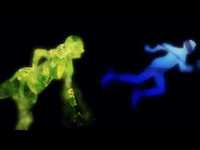 pochette album Swoon