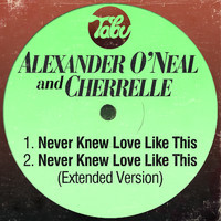 pochette album Never knew love like this