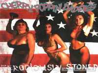 pochette album Diabolic tastemaker