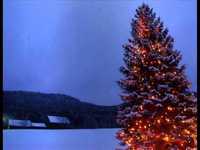 pochette album Silent night