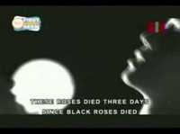 pochette album Seven black roses