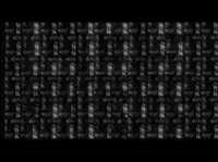 pochette album Back in the wild