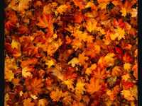 pochette album Lights turned on