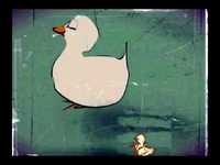 pochette album Be kind to your web footed friends