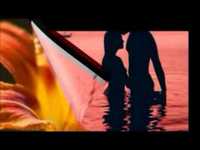 pochette album Comme une ombre