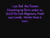 pochette album First day of spring