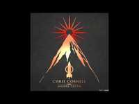 pochette album Before we disappear