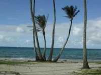 pochette album It's me