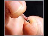 pochette album New world order