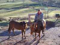 pochette album My heroes have always been cowboys