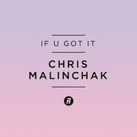 pochette album If u got it