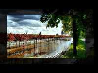 pochette album Ain't going down this way