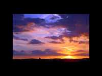 pochette album Bless them all