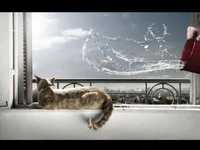 pochette album Deep water