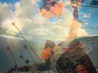 pochette album Good morning