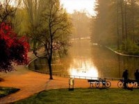 pochette album I'm ready